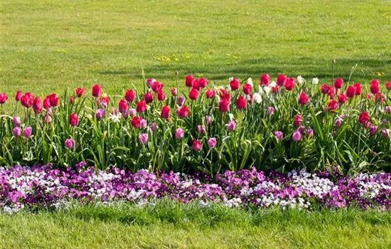 Wie ein pflegeleichter Garten gestaltet wird Wie ein pflegeleichter Garten gestaltet wird