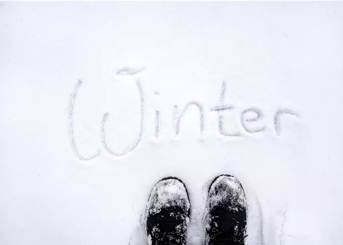 🔔 Vorankündigung: Betriebsferien