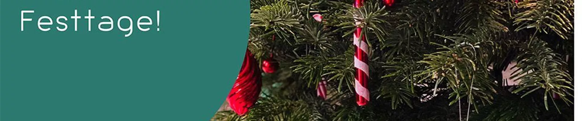 Weihnachten-0-0-1024-1024