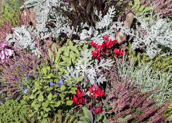 📢 Feiertagshinweis: