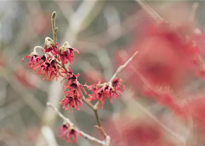 Zurück aus den Betriebsferien