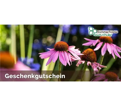 Online-Gutschein  Online-Gutschein