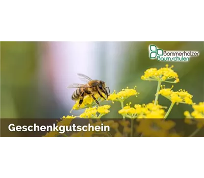 Online-Gutschein 