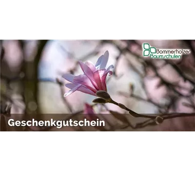 Online-Gutschein 
