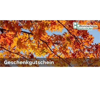 Online-Gutschein 