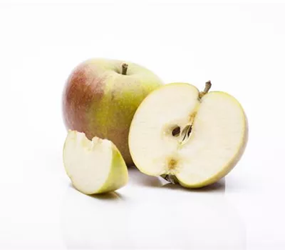 Malus domestica 'Cox Orange' Malus domestica 'Cox Orange'