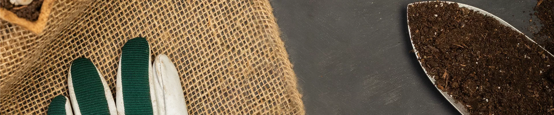 Gartenutensilien mit Frühblühern