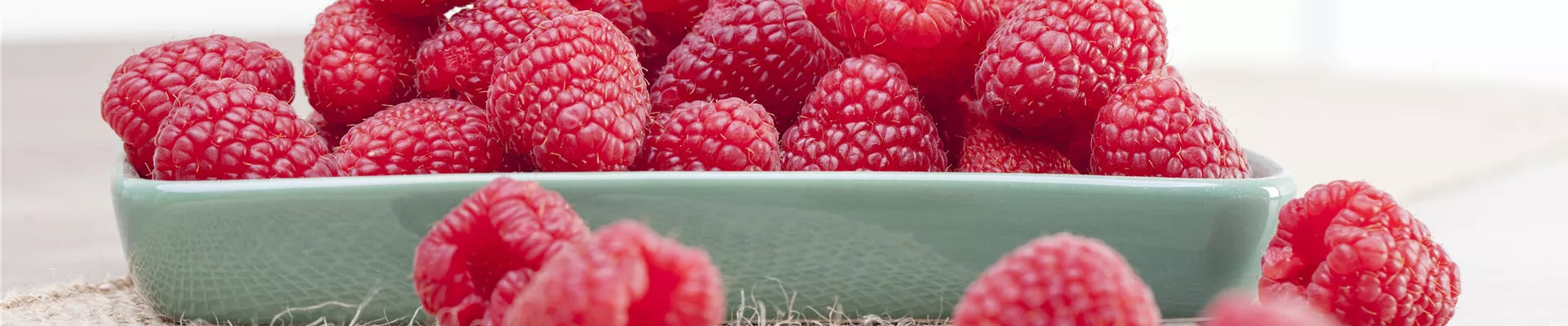 Rubus idaeus Rubus idaeus