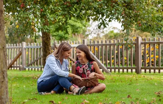 Gartengestaltung mit Spielhäusern – Kinderparadies Garten Gartengestaltung mit Spielhäusern – Kinderparadies Garten